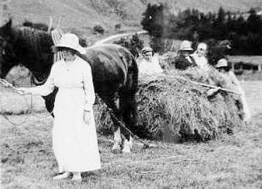 Haymaking